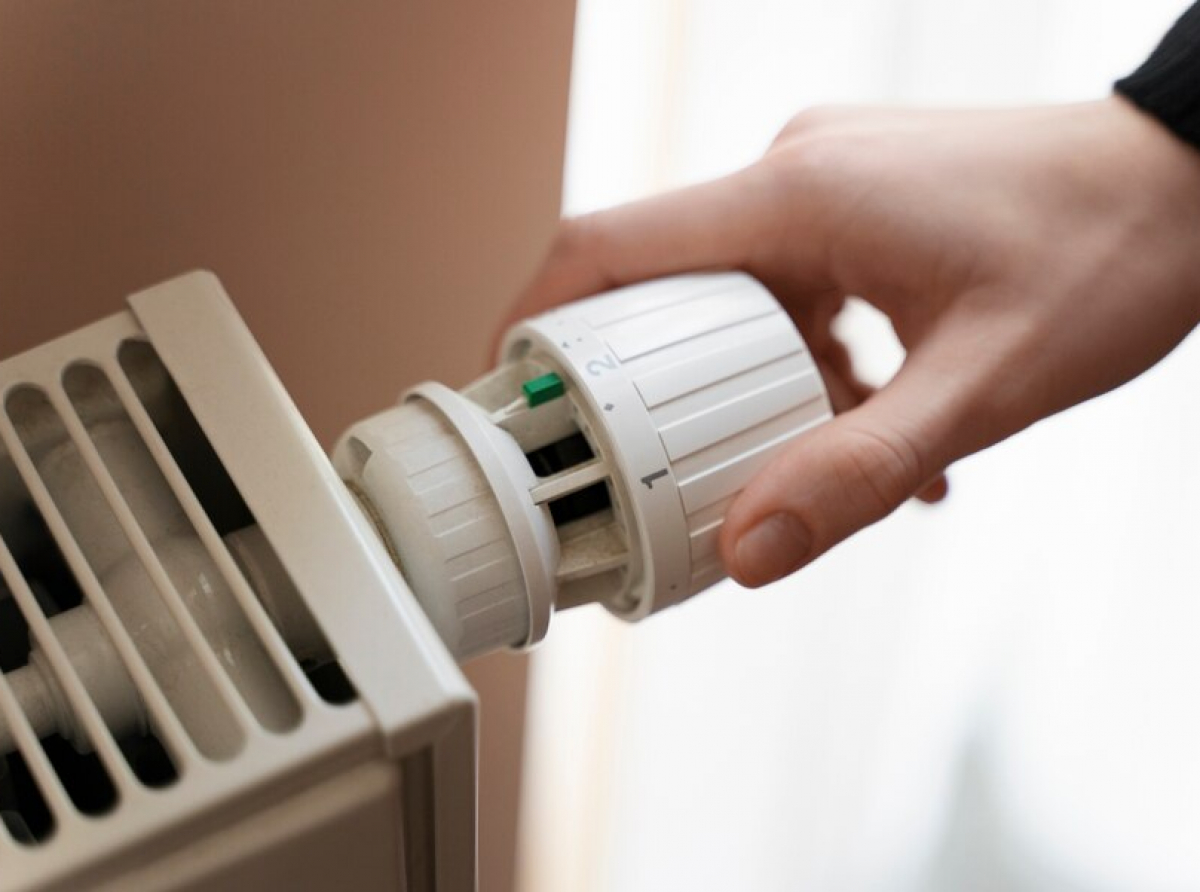 Фото с сайта https://ru.freepik.com/